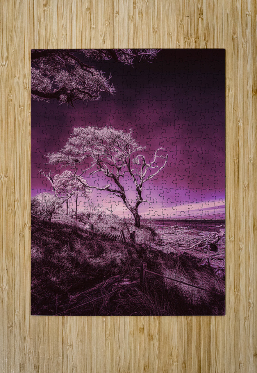 Purple Bonsai:A Botanical Marvel Unveiled on Driftwood Beach Dream World Images Puzzle printing