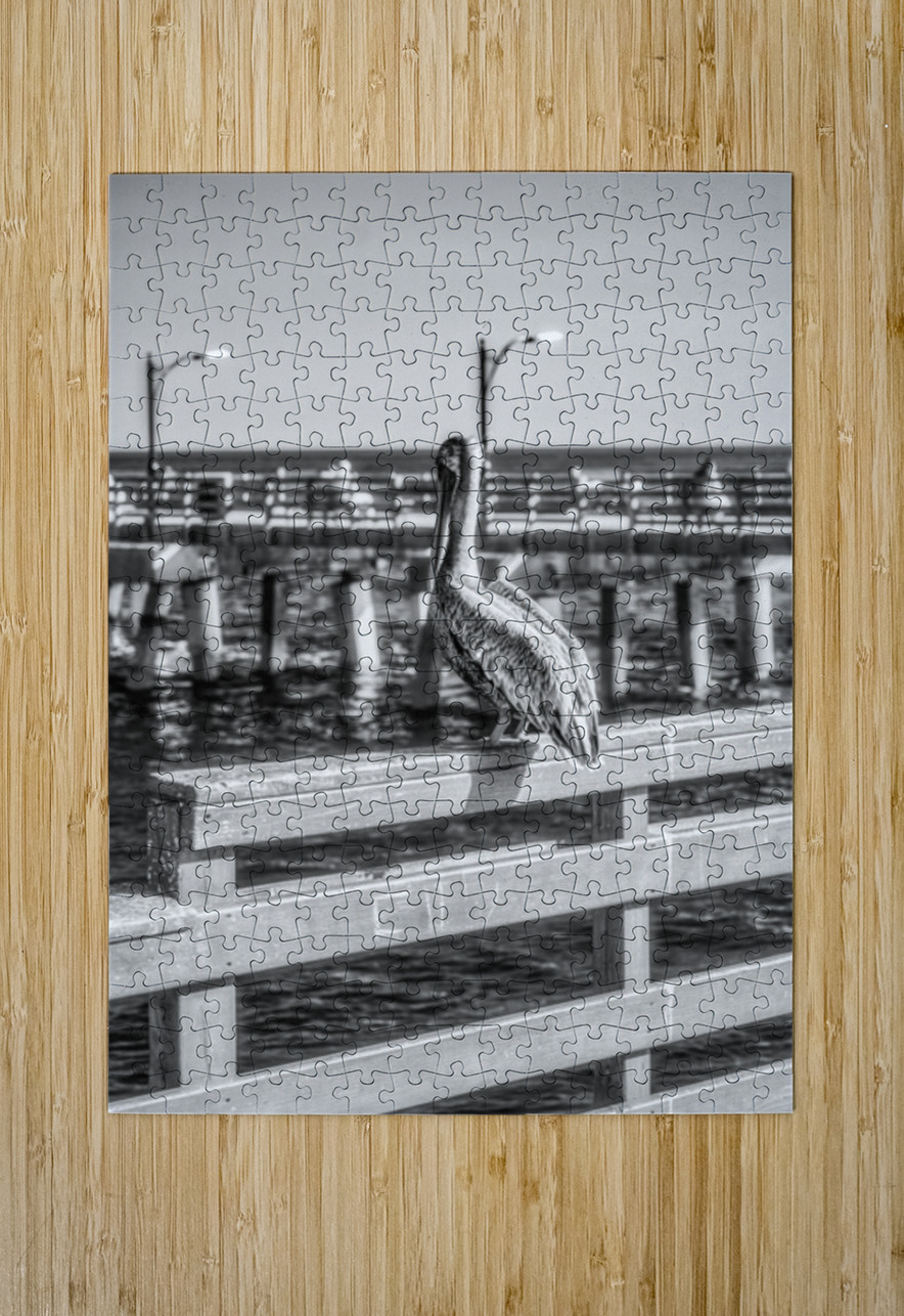 Oceans Guardian: Black and White Infrared Capture of Pelican on  Dream World Images Puzzle printing