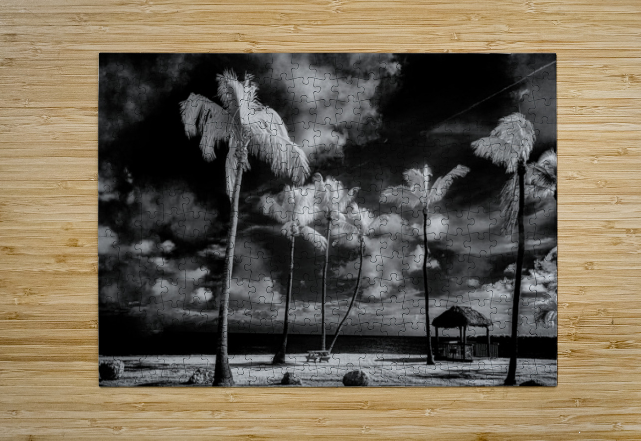 Tiki Picnic Dream World Images Puzzle printing