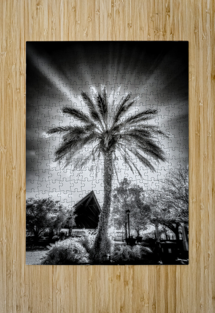 Lighted Palm Dream World Images Puzzle printing