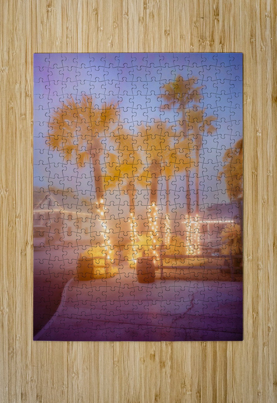 Enchanting Saint Augustine: Palm Trees Aglow with Christmas Magi Dream World Images Puzzle printing