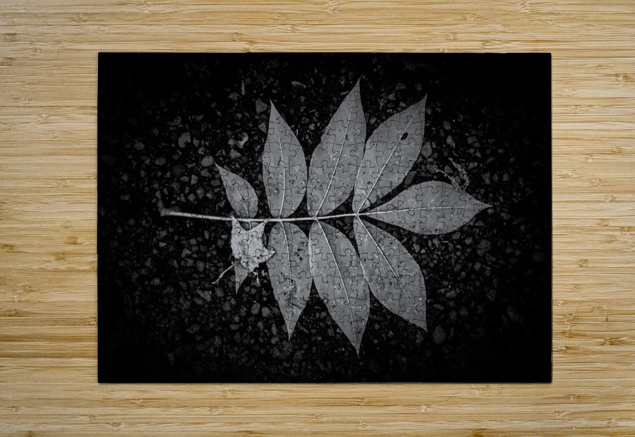Rainy Day Wonder: Discovering Wishing Leaves at Tims Ford State  Dream World Images Puzzle printing