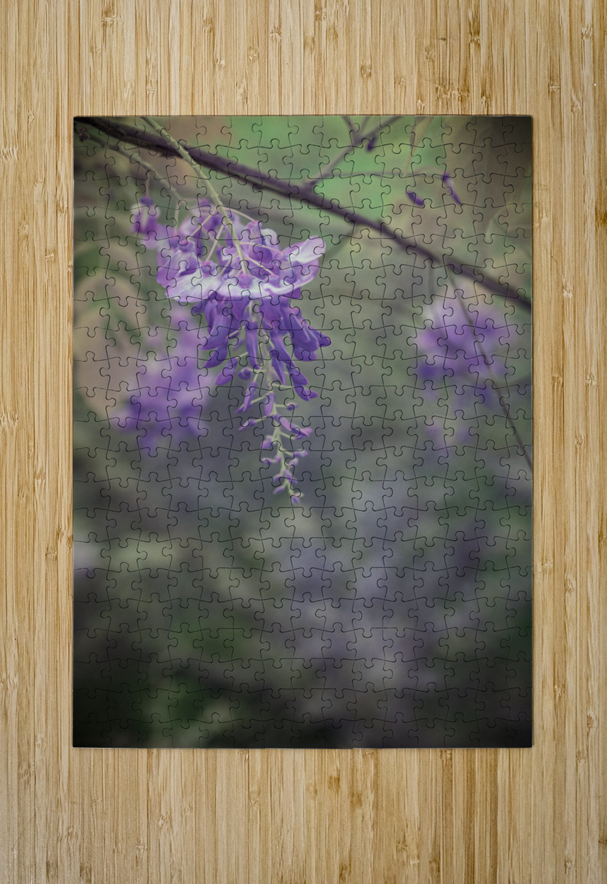 Wisterias Whisper Dream World Images Puzzle printing