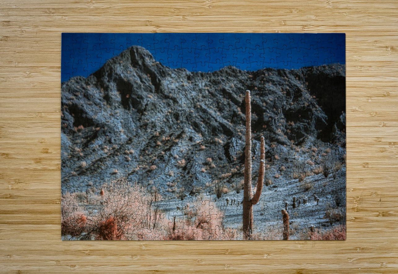 Rocky Backdrop to a Prickly Presence Dream World Images Puzzle printing