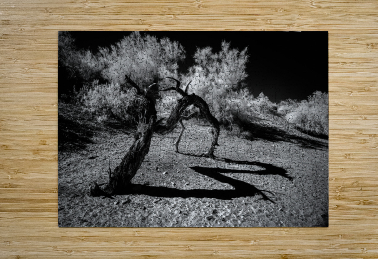 Desert Trees Shadowy Dance Dream World Images Puzzle printing