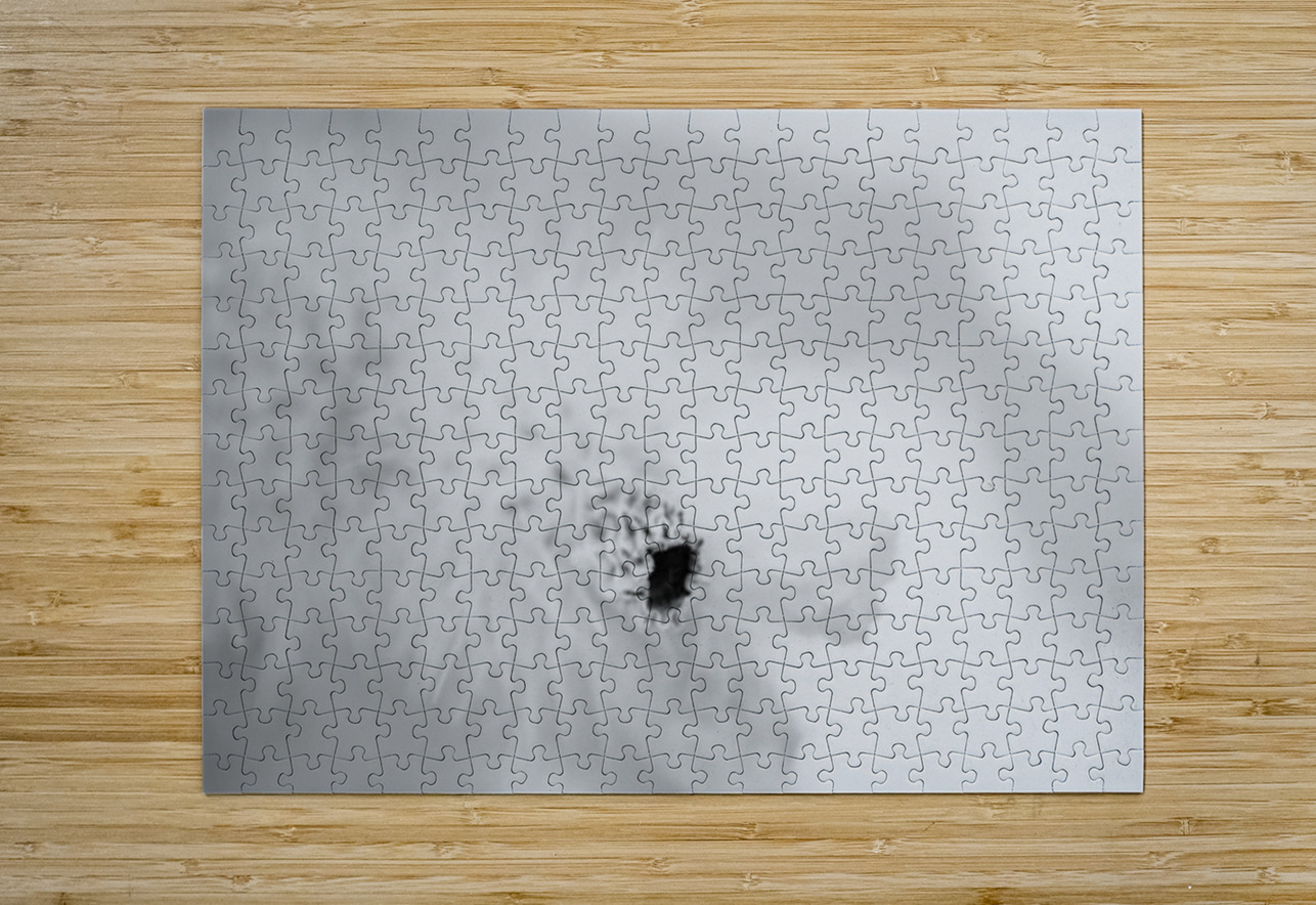 Prickly Veil Dream World Images Puzzle printing