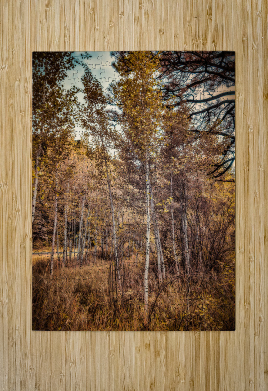 Serenade of Fall Foliage Dream World Images Puzzle printing