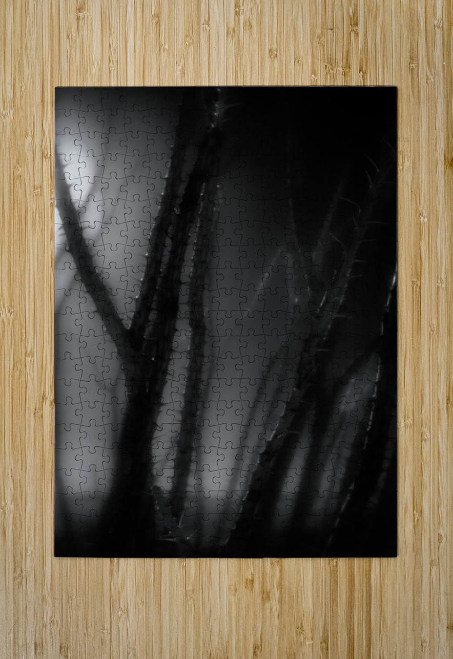 Shadows Weave Through Thorned Spire Dream World Images Puzzle printing