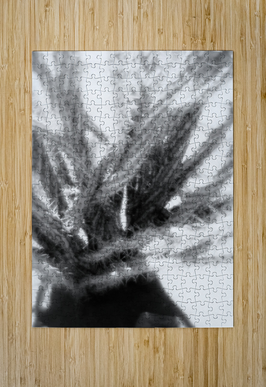 Prickly Dance on a Blurred Canvas Dream World Images Puzzle printing