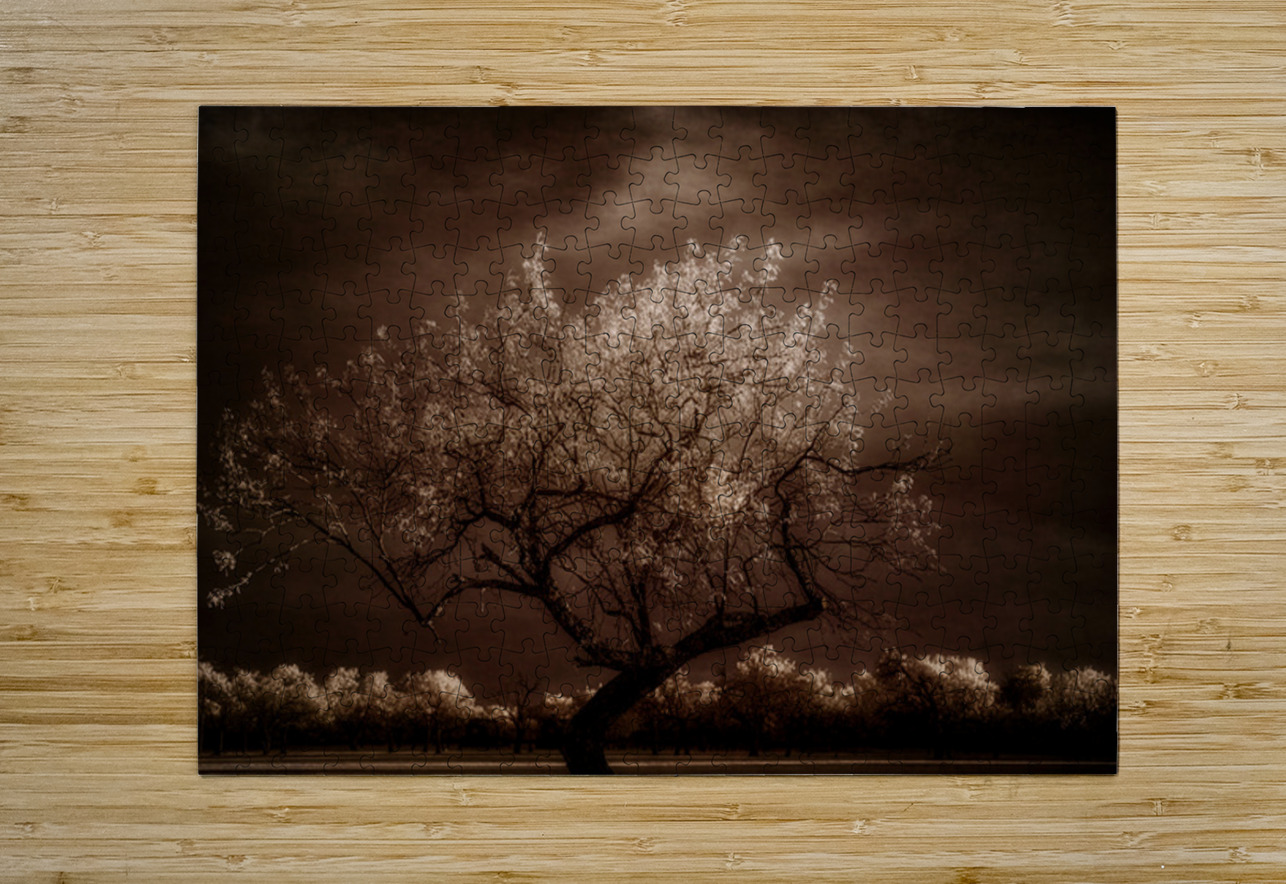 Crown Light Dream World Images Puzzle printing