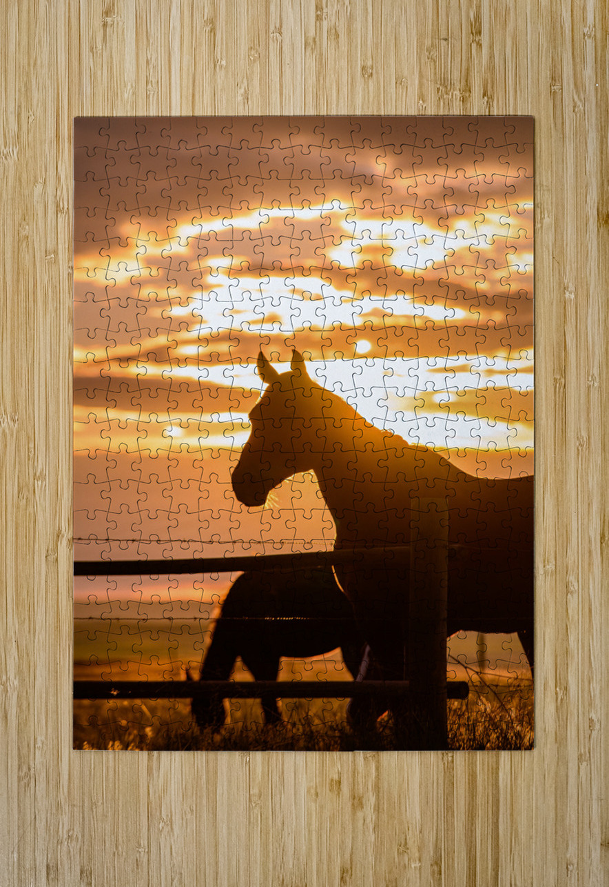 Sunset Silhouette: Portrait of Ernie Dream World Images Puzzle printing