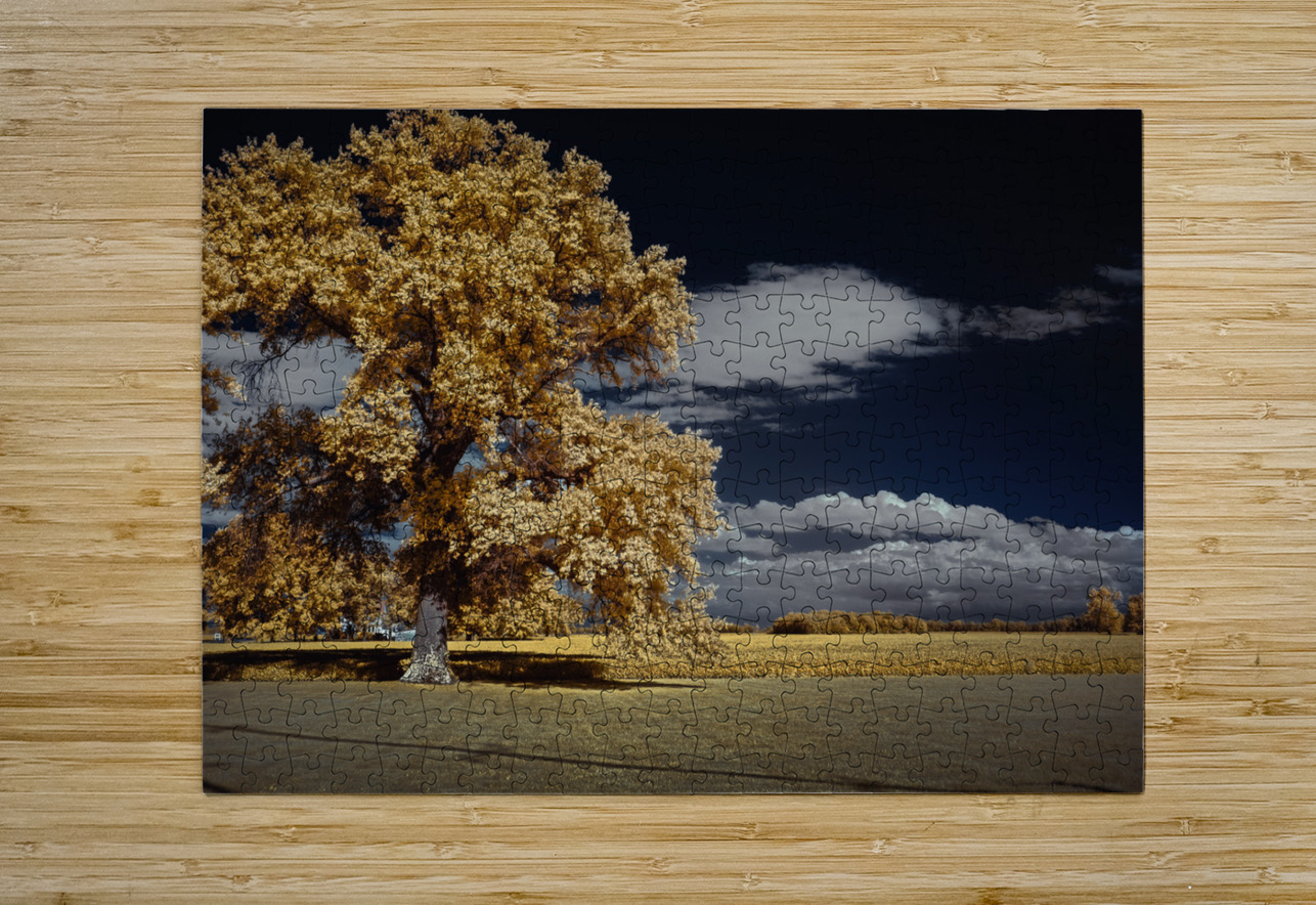 Golden Sentinel Dream World Images Puzzle printing