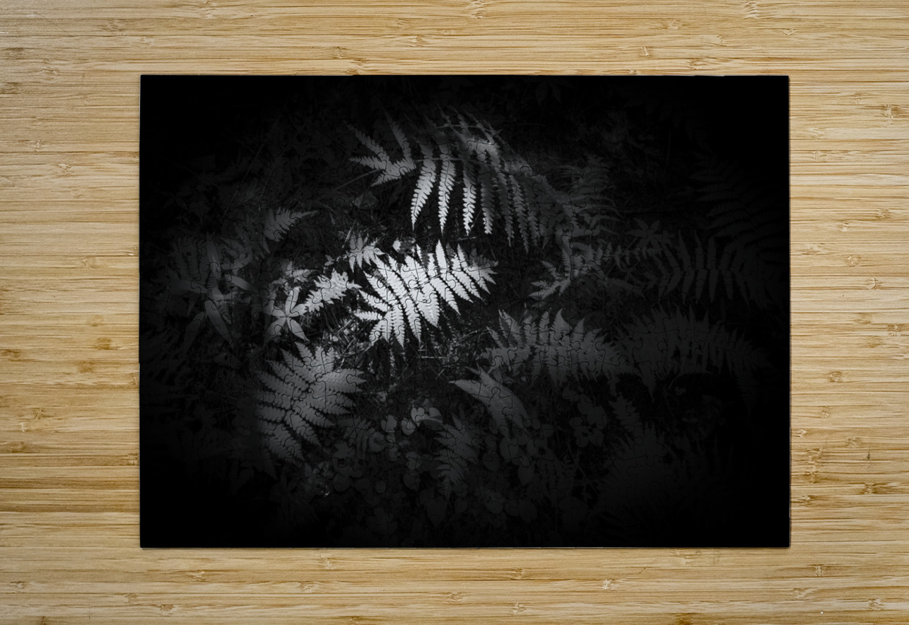 Ferns Whisper Dream World Images Puzzle printing
