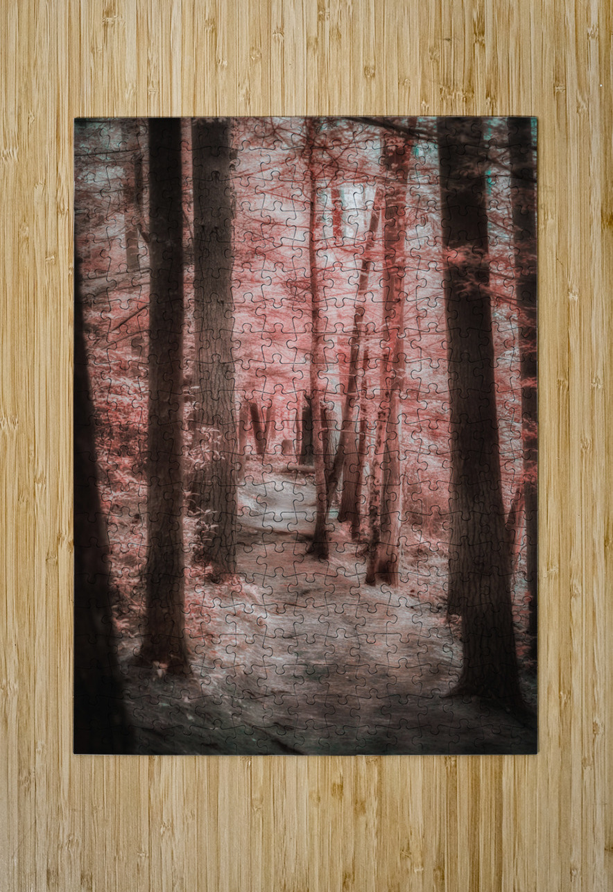 Mystical Forest Walk Dream World Images Puzzle printing