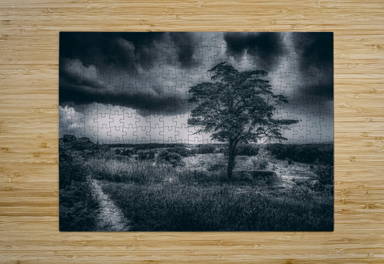 Storm Watch at Little Round Top Dream World Images Puzzle printing