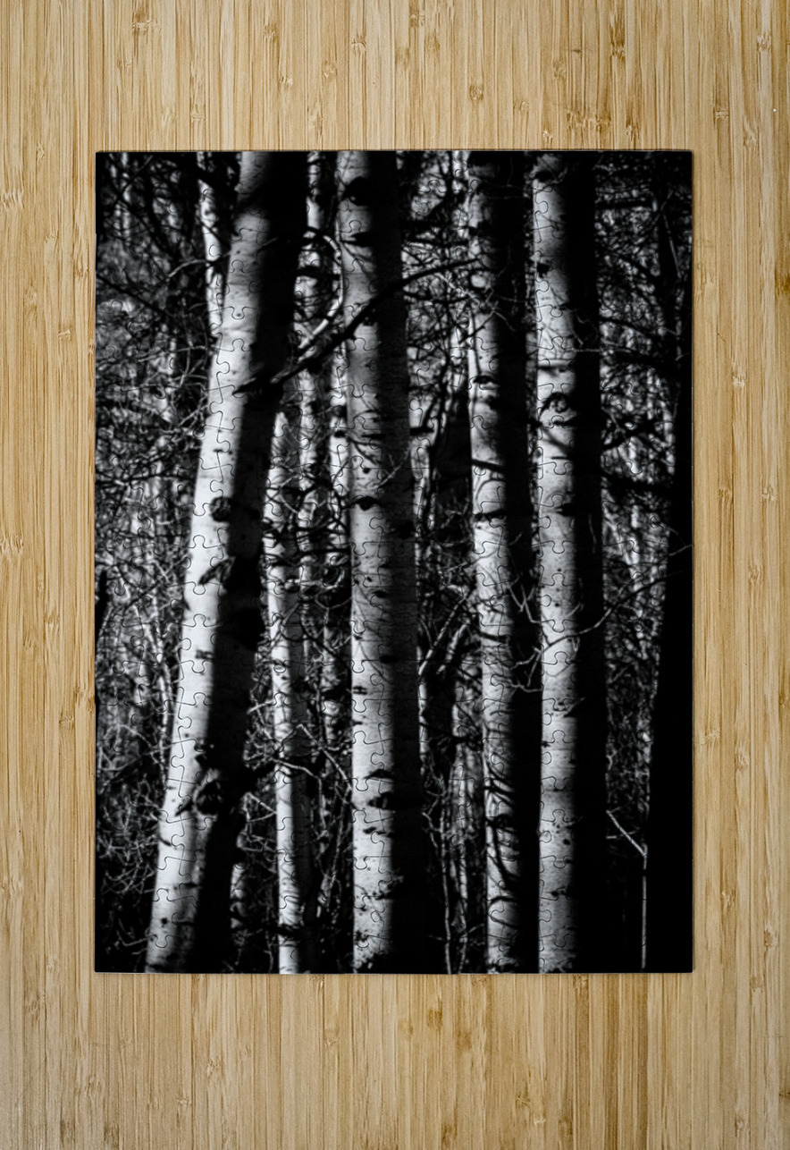Aspens Sacred Lines Dream World Images Puzzle printing