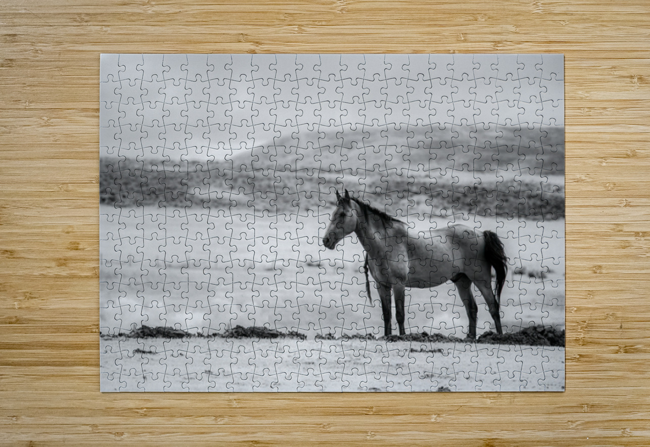 Solitary Majesty   Wind River Sentinel Dream World Images Puzzle printing