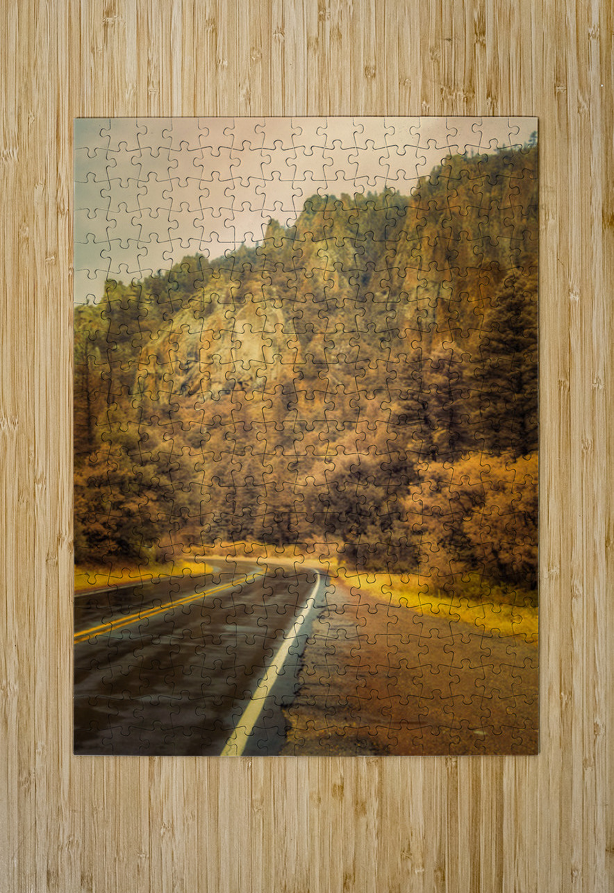 Reflections of a Rain Kissed Road Dream World Images Puzzle printing