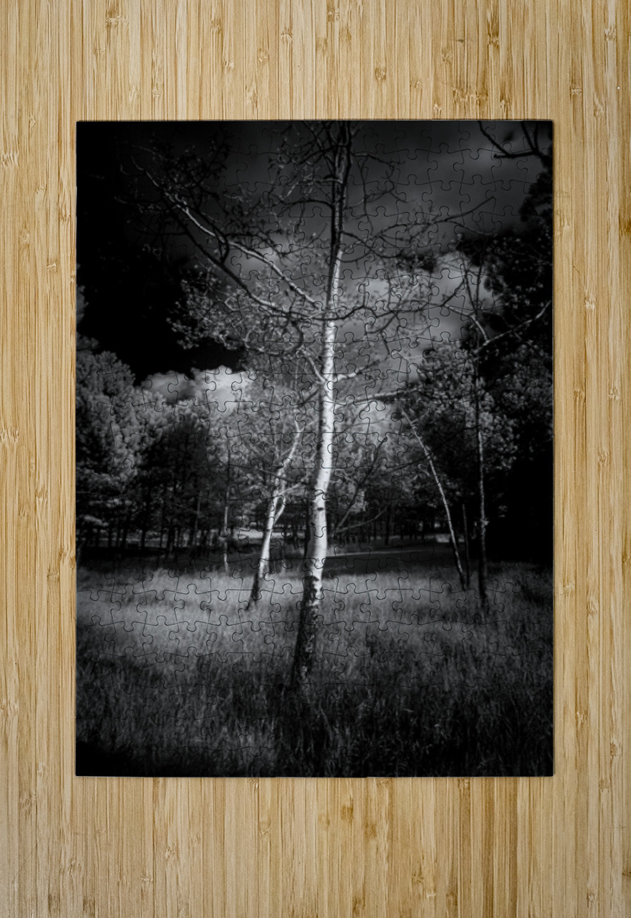 Aspen Reverie: Ansels Inspiration Dream World Images Puzzle printing