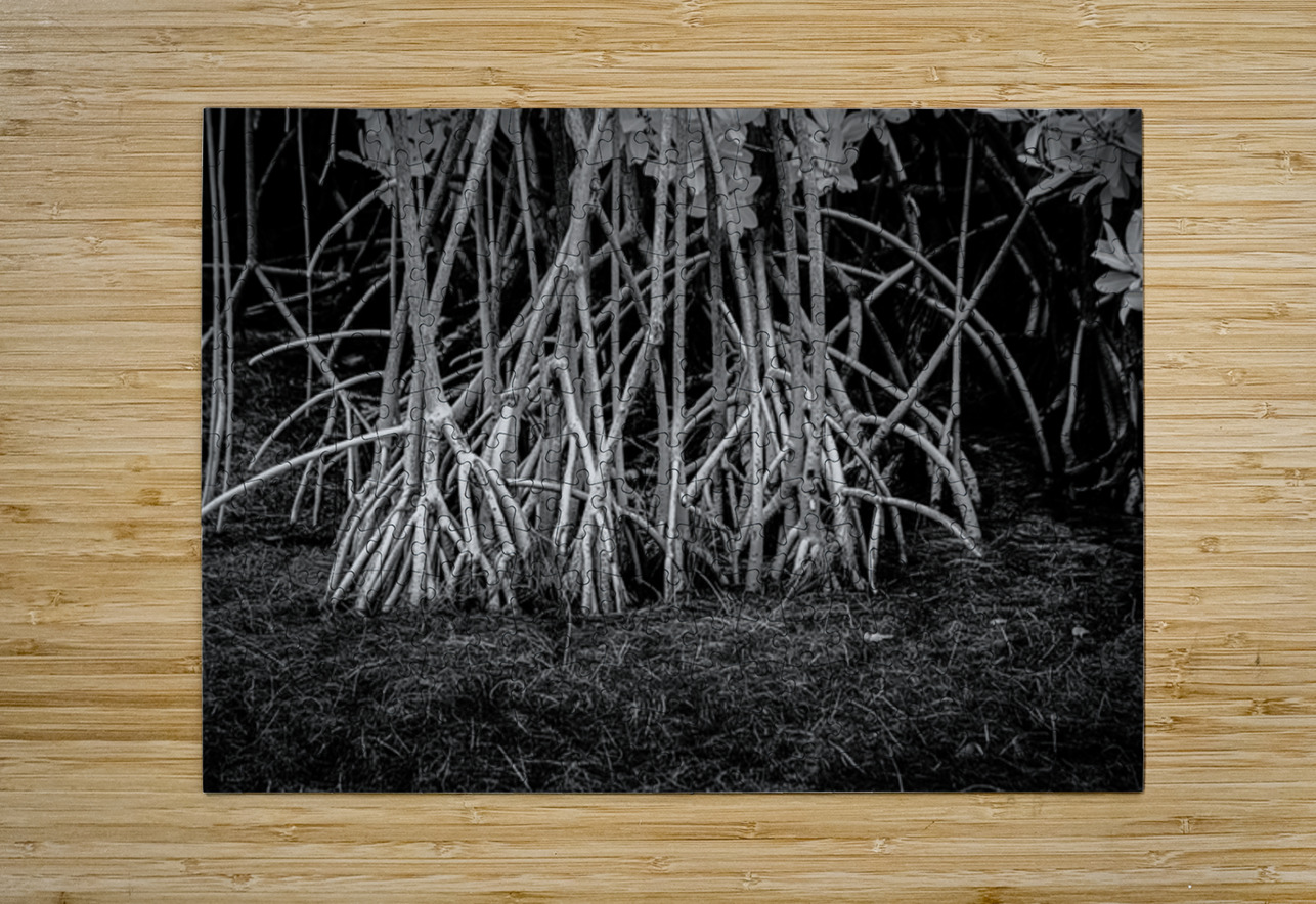 Enchanting Mangrove Tapestry: A Dance of Light and Shadows Dream World Images Puzzle printing