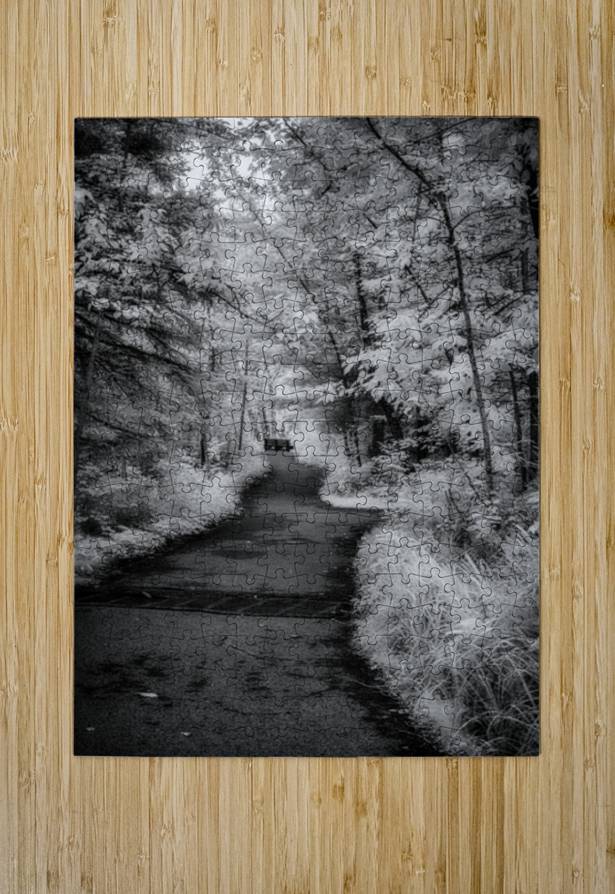 Path Through the Enchanted Forest Dream World Images Puzzle printing