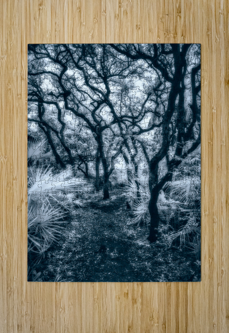 Enchanted Passage: Blue Dawn in the Oaks Dream World Images Puzzle printing
