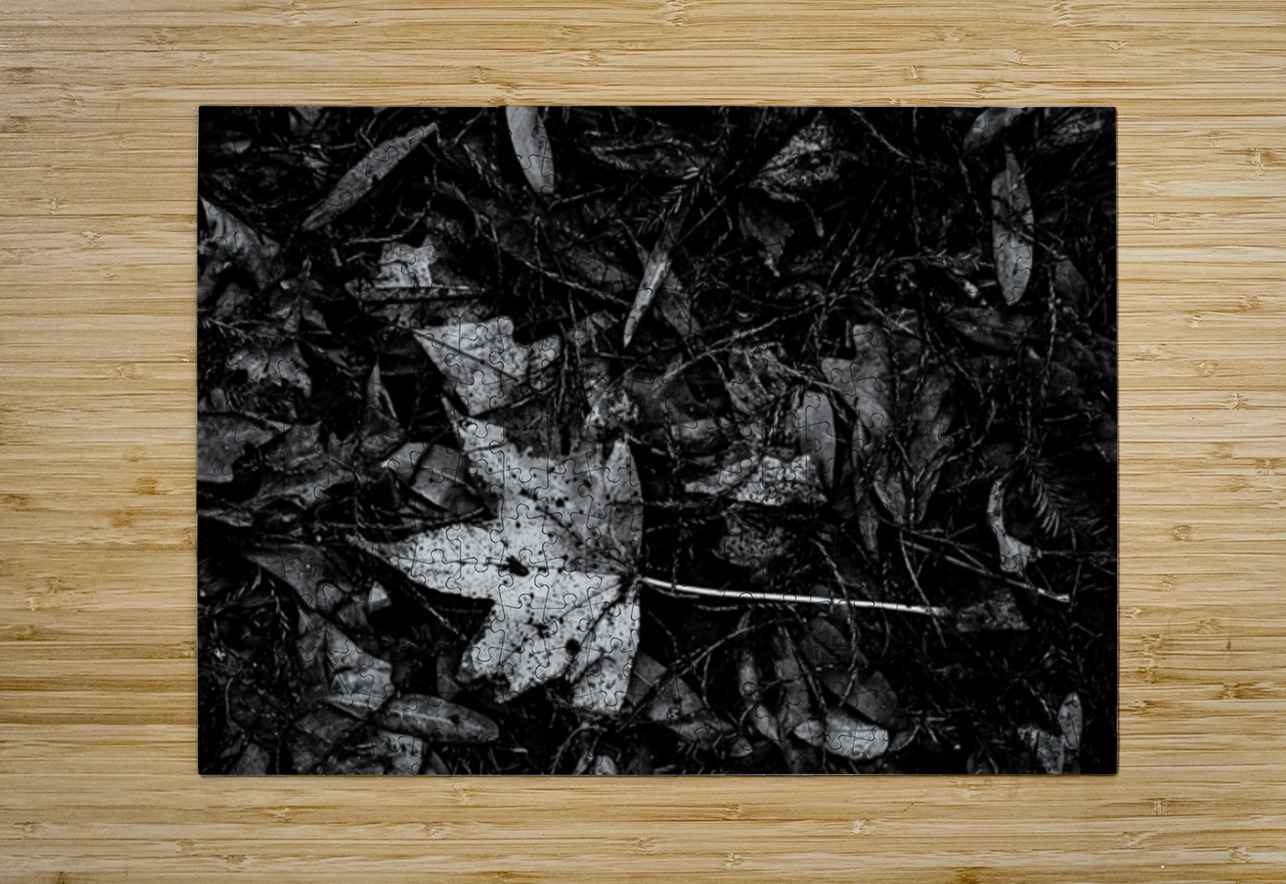 Relic in the Shadows Dream World Images Puzzle printing