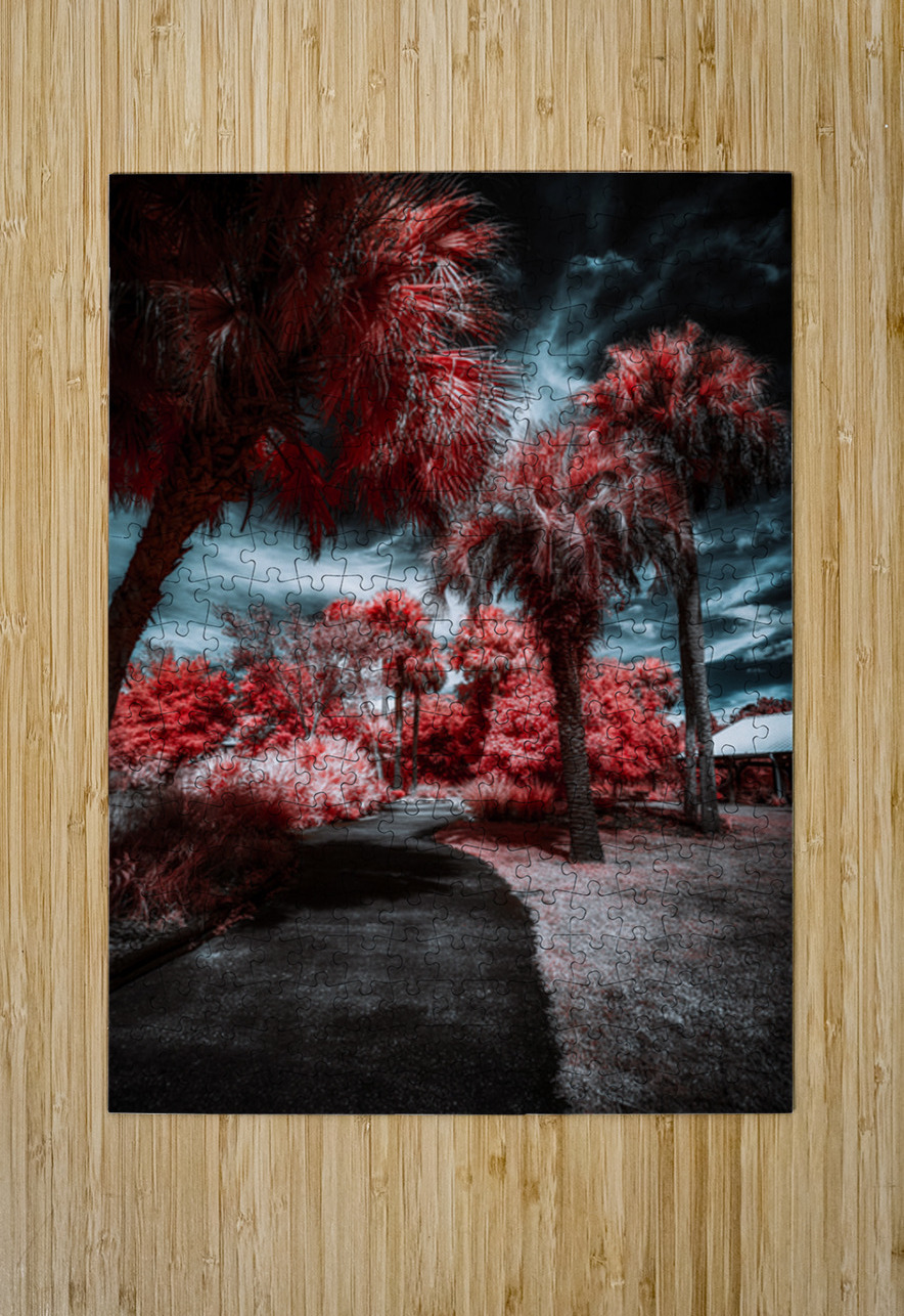 Where the Palms Turn to Ember Dream World Images Puzzle printing