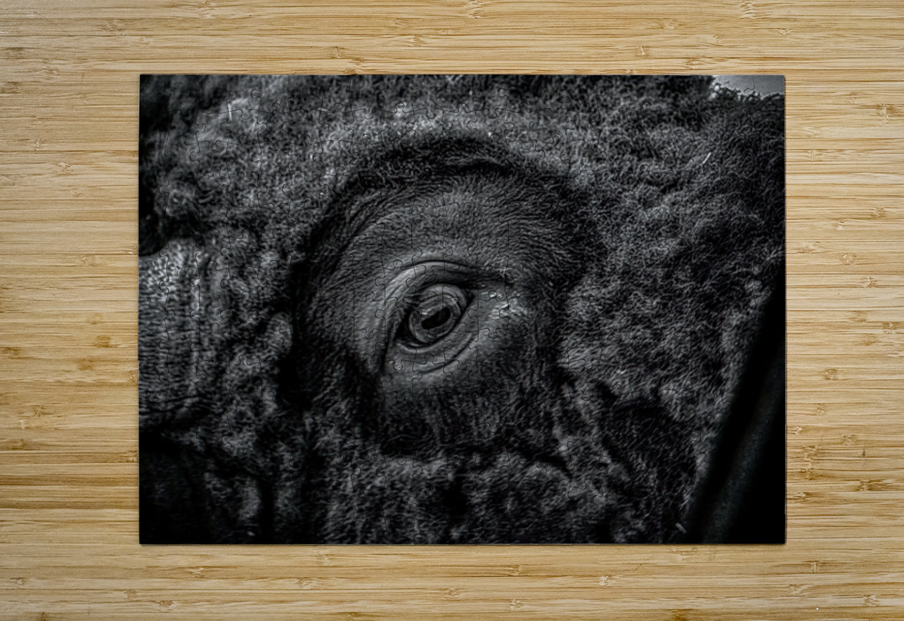 Soulful Gaze of the Bison Dream World Images Puzzle printing