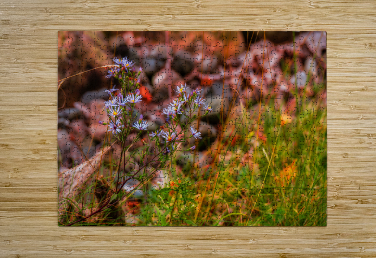 Autumns Last Dance Dream World Images Puzzle printing