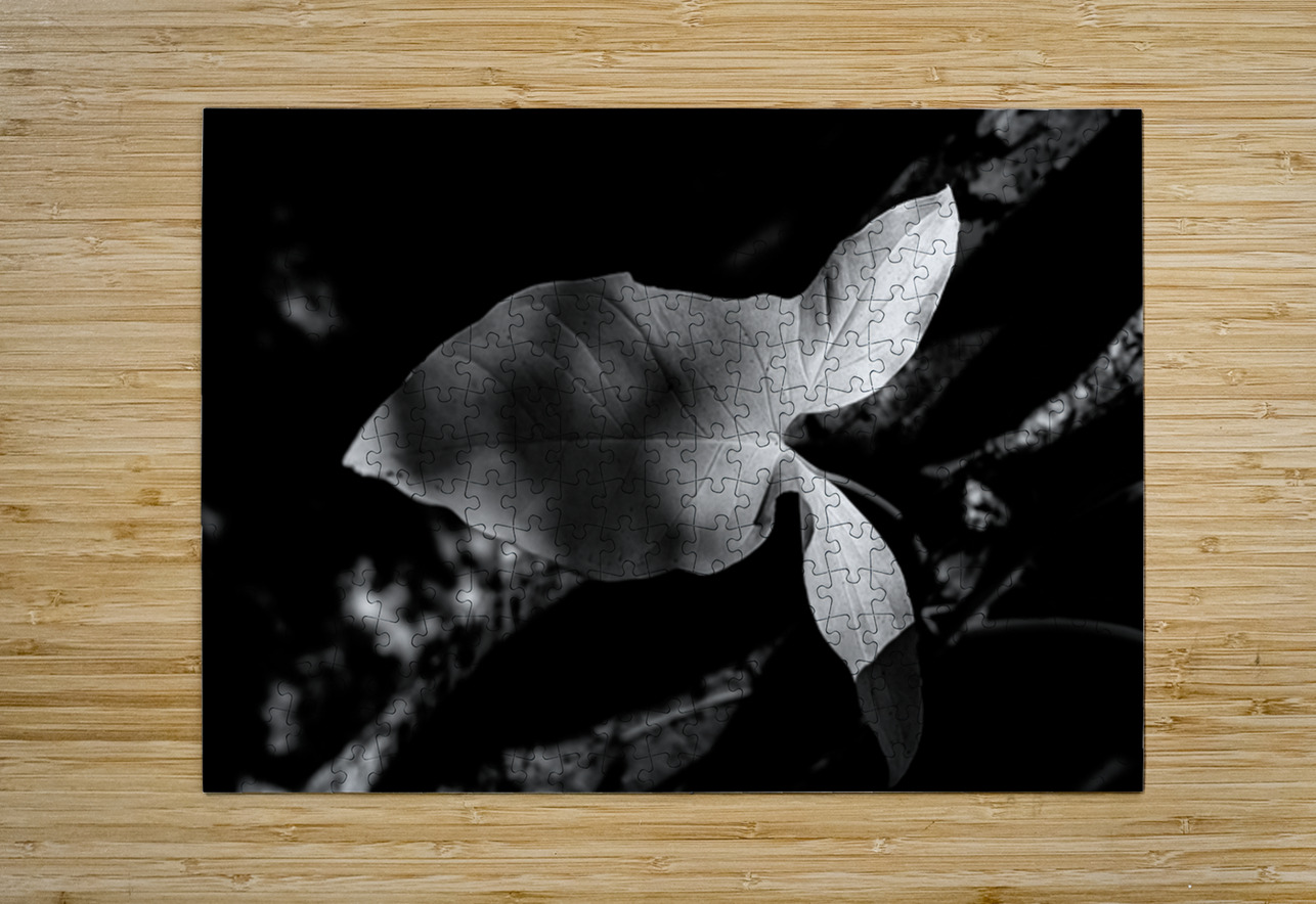 Two Notes of Light Dream World Images Puzzle printing