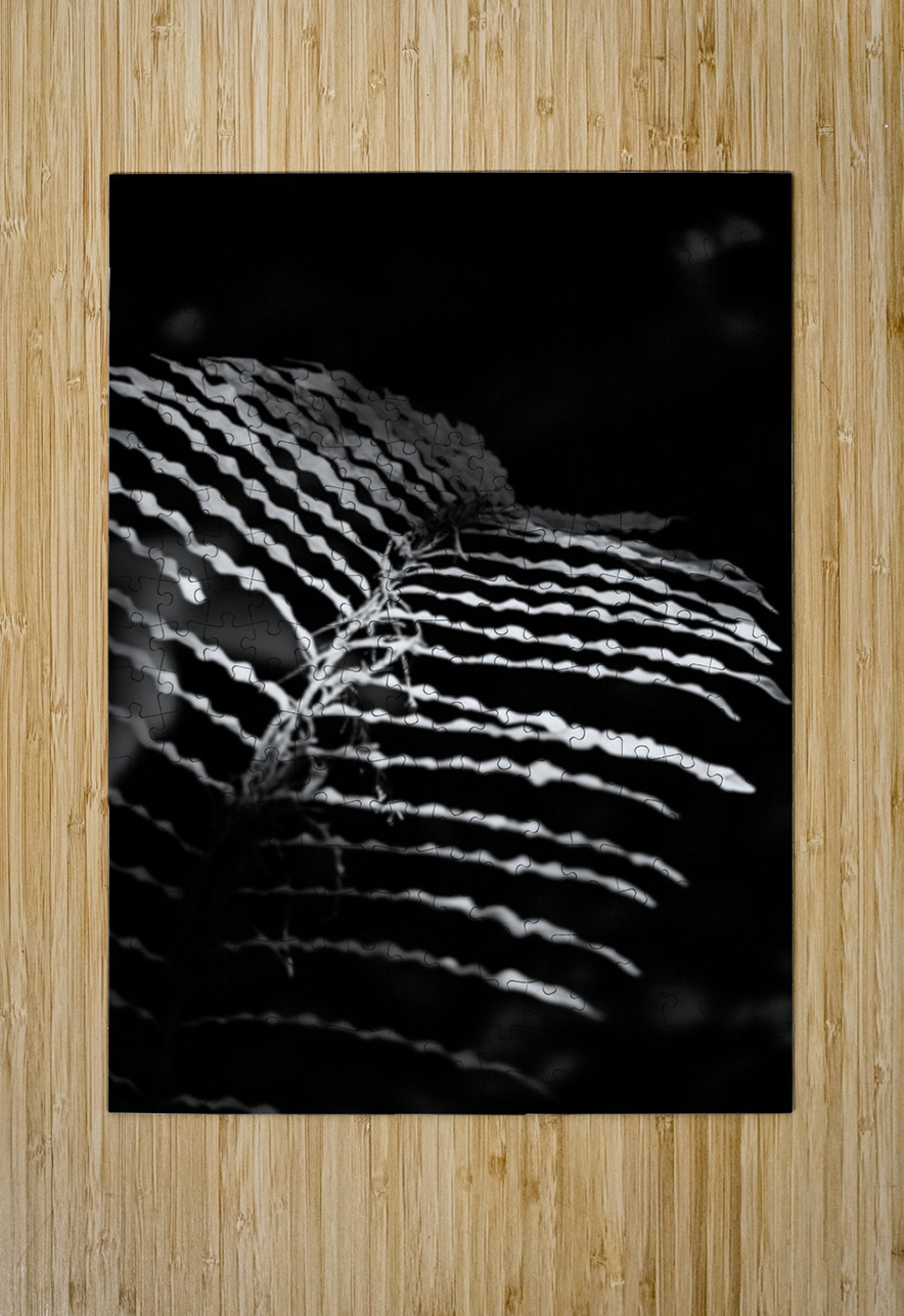 The Fern’s Quiet Frequency Dream World Images Puzzle printing