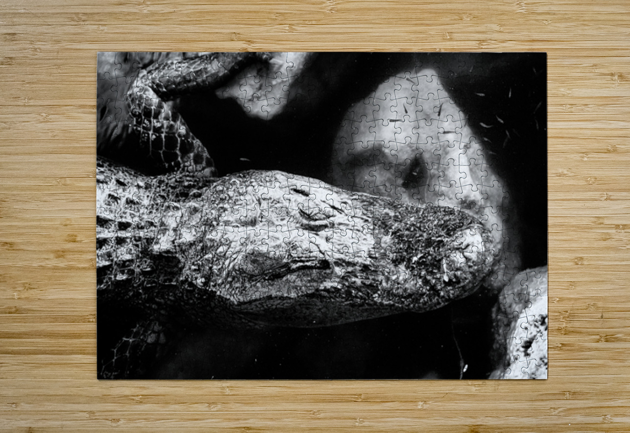 The Patient King Dream World Images Puzzle printing