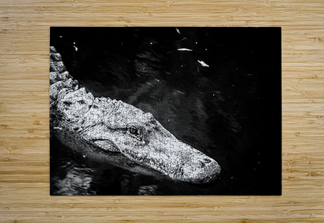 Old Eyes Dark Water Dream World Images Puzzle printing