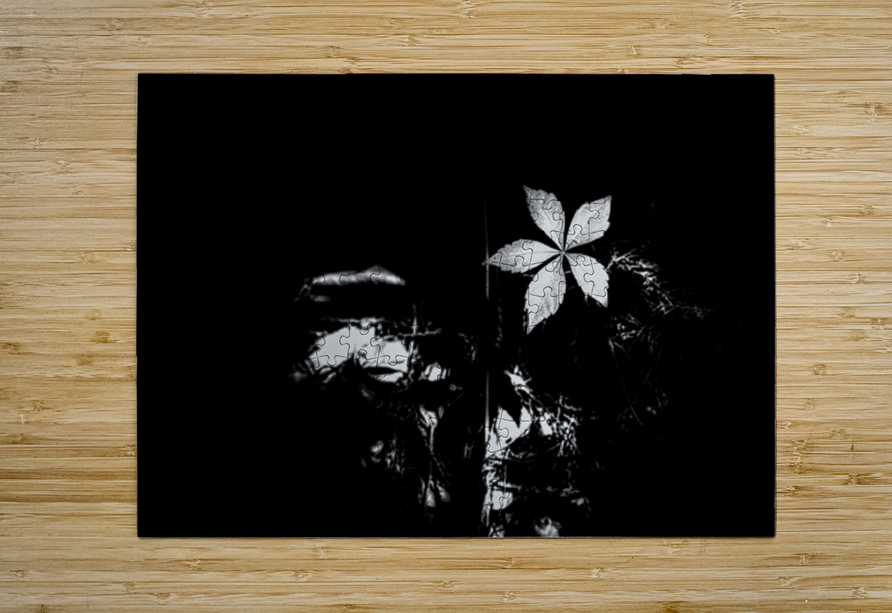 One Small Light Dream World Images Puzzle printing