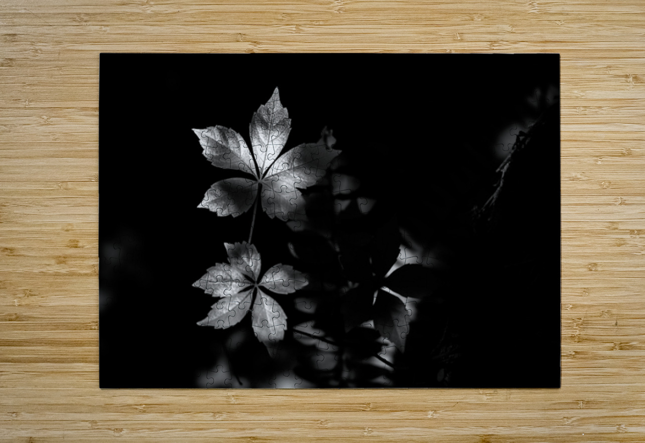 The Leaf That Floats Dream World Images Puzzle printing