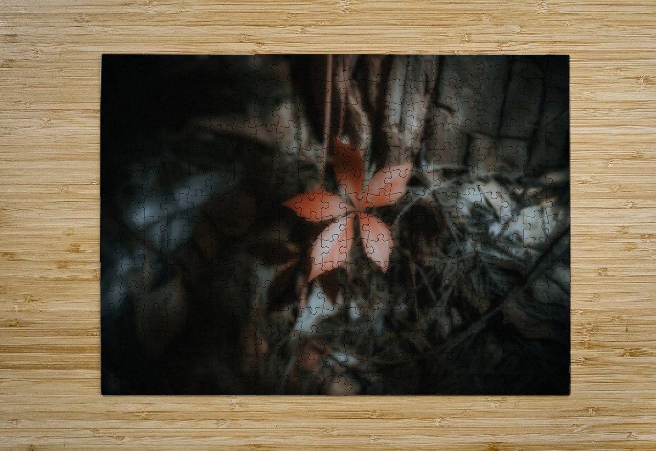 Leaf Holding the Shadow Dream World Images Puzzle printing