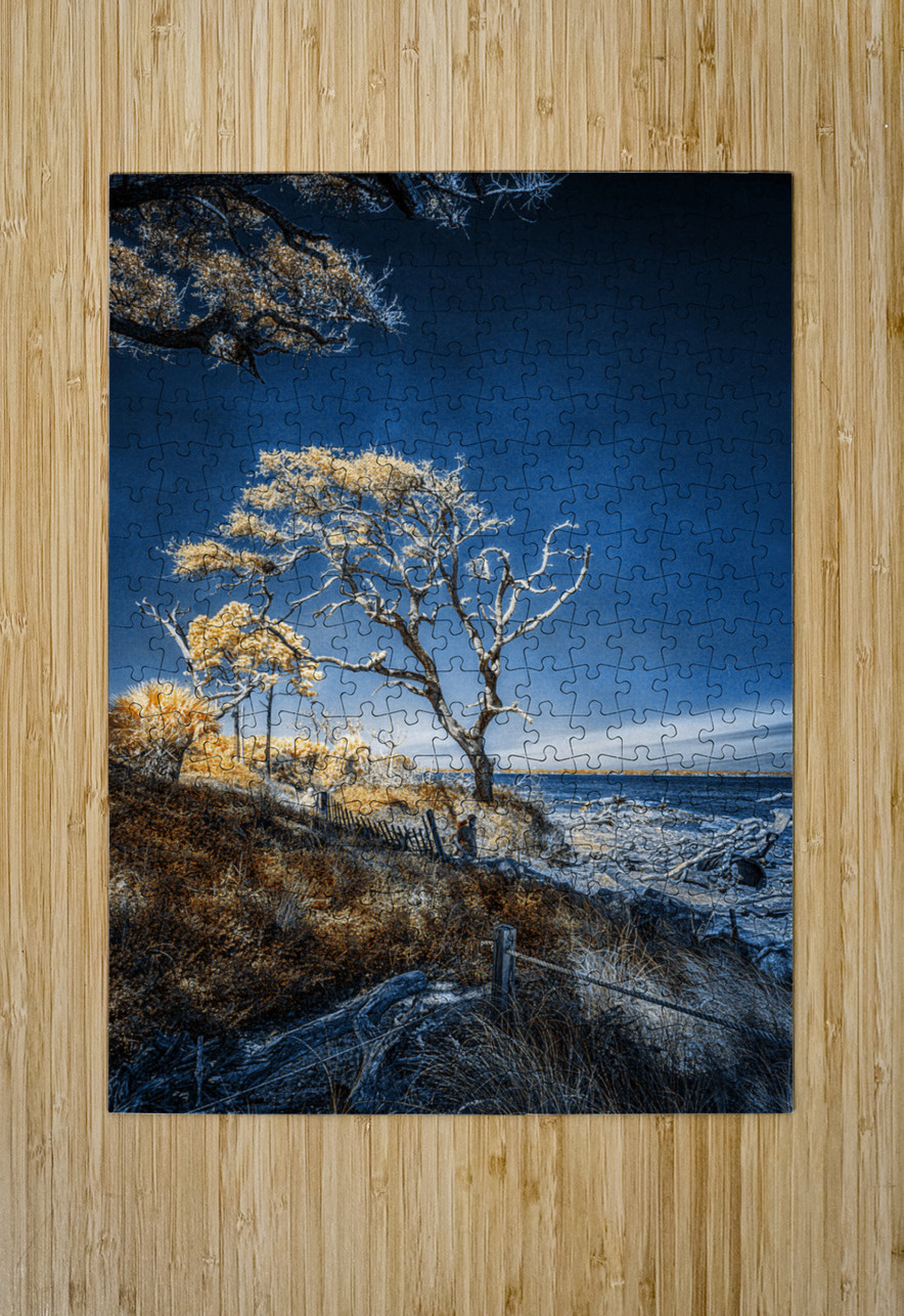Blue Bonsai: A Botanical Marvel Unveiled on Driftwood Beach Dream World Images Puzzle printing