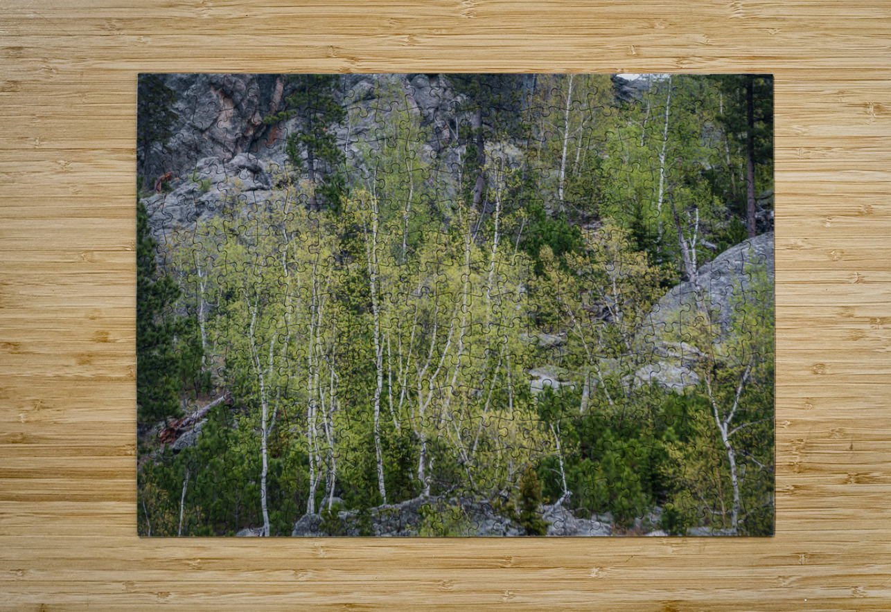 Apsen Grove on a Hill Dream World Images Puzzle printing