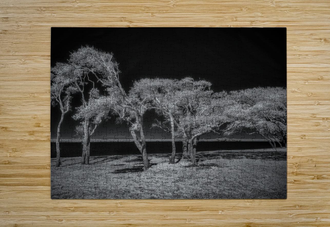 Enchanted Canopy: Exploring Gulf Shores Mystical Oaks Dream World Images Puzzle printing