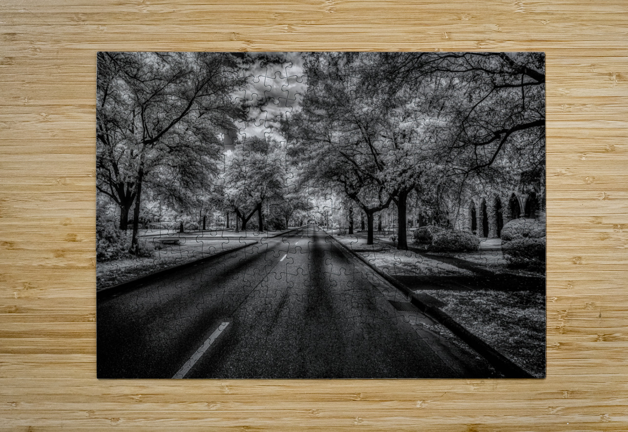 Eufaula Elegance: A Monochromatic Journey Through Time Dream World Images Puzzle printing
