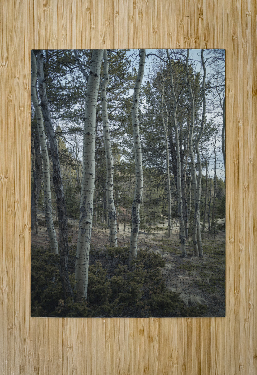 Mueller Aspen Series: Aspen Tree Trail Dream World Images Puzzle printing
