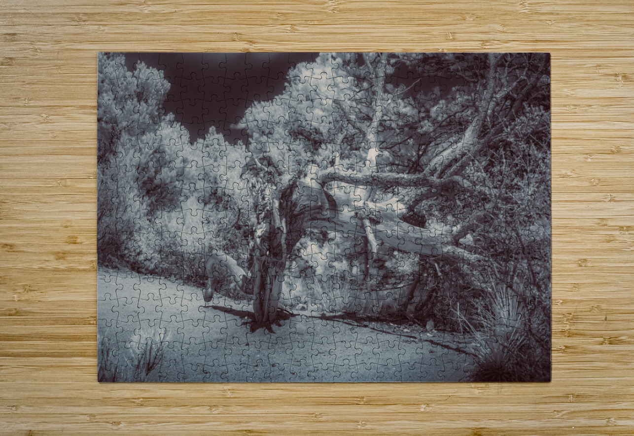 Natures Ancient Dance Dream World Images Puzzle printing