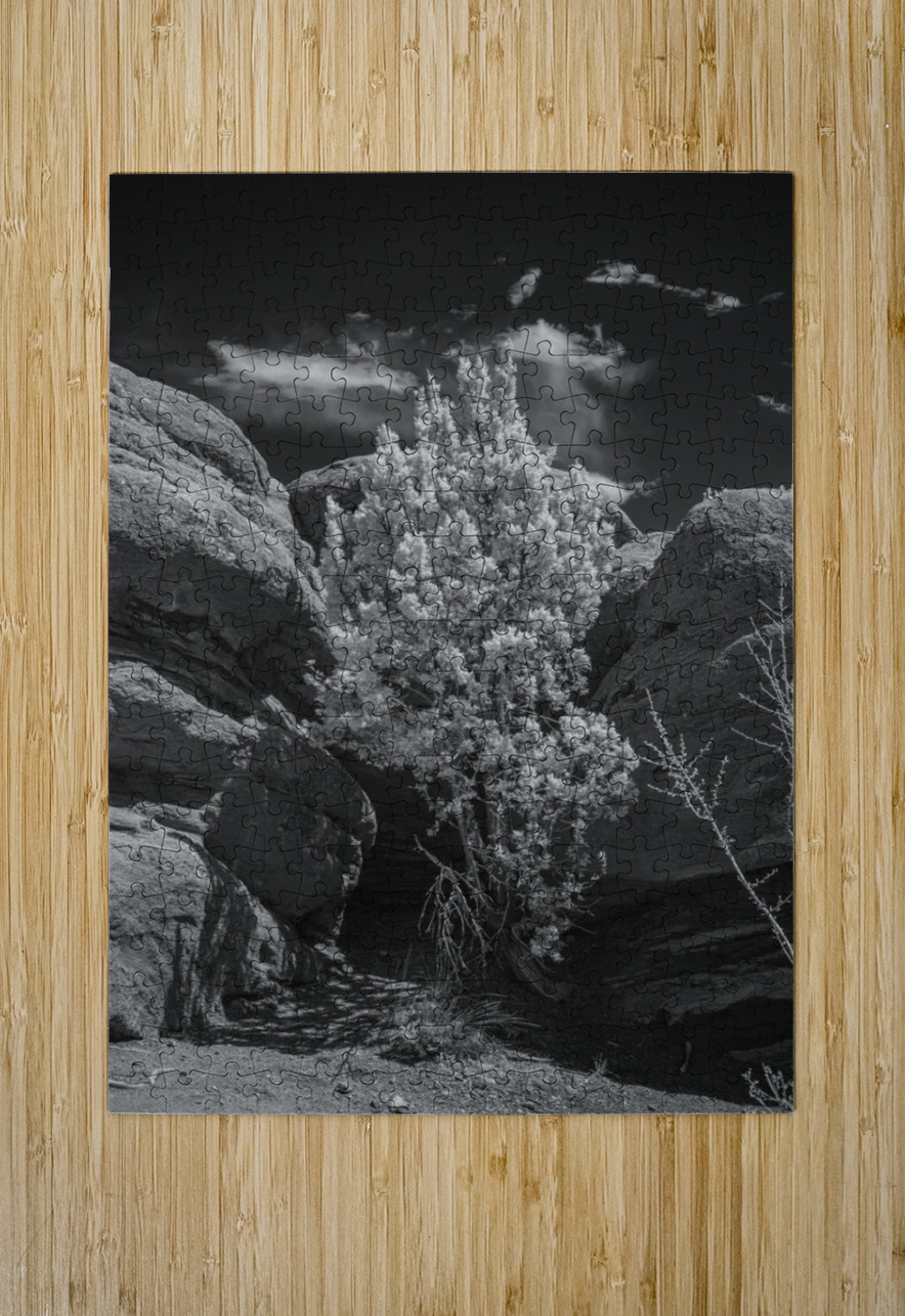 Rock Tree Dream World Images Puzzle printing