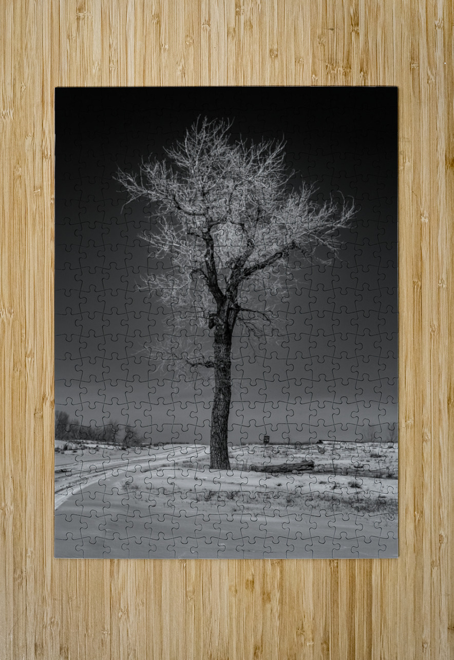Winters Solitary Sentinel Dream World Images Puzzle printing