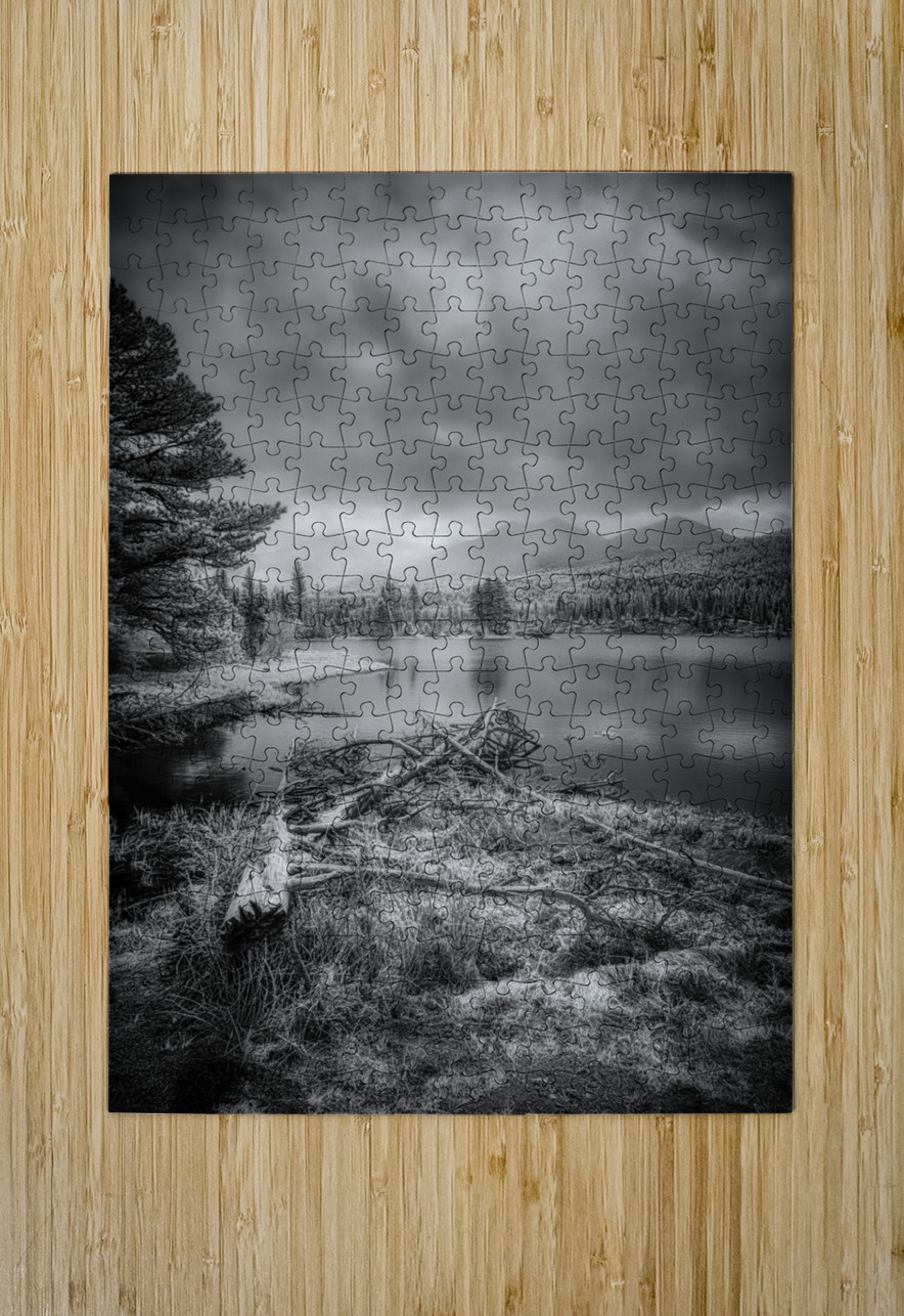 Fallen Sentinels: Rocky Mountain National Park Dream World Images Puzzle printing