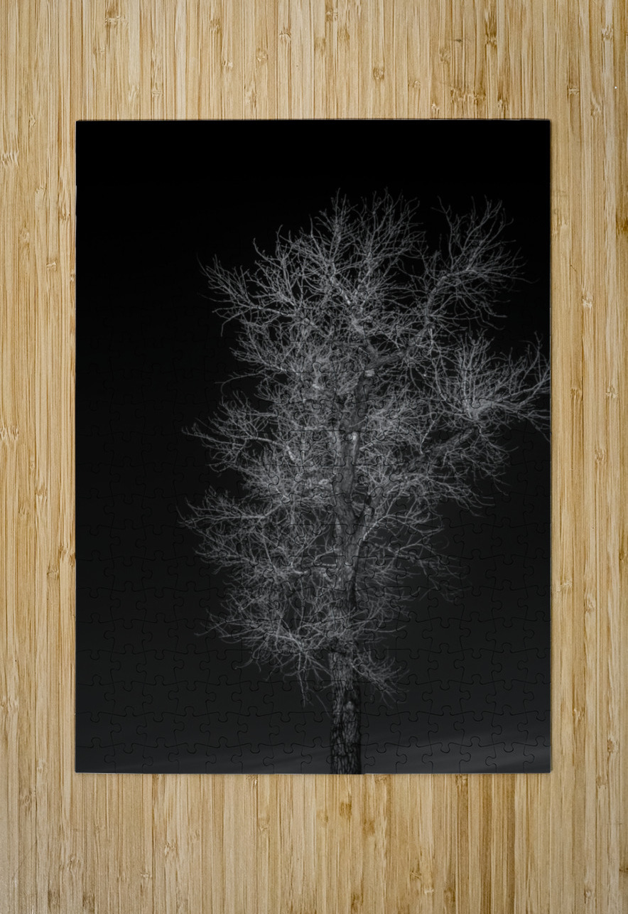 Winters Neural Network Dream World Images Puzzle printing