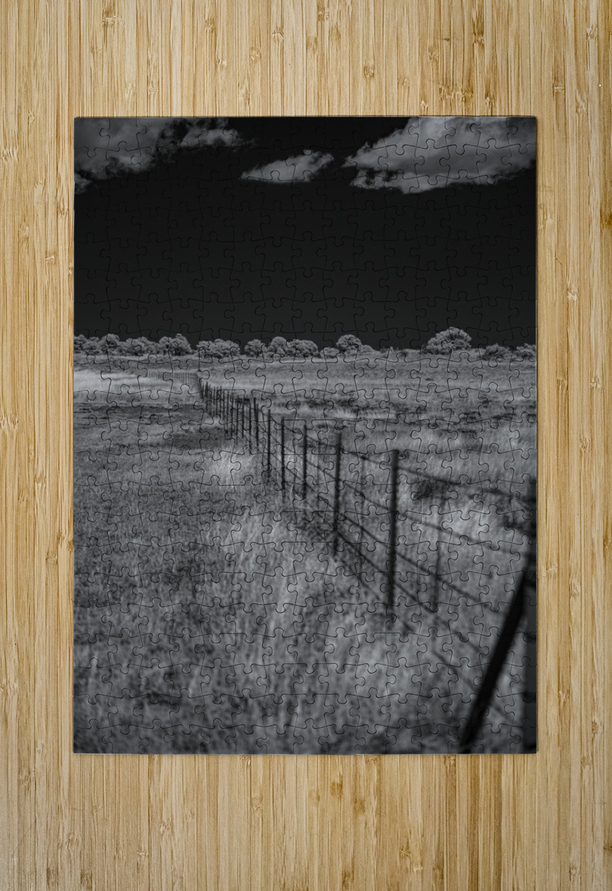 Fenceline Whisper in Monochrome Dream World Images Puzzle printing