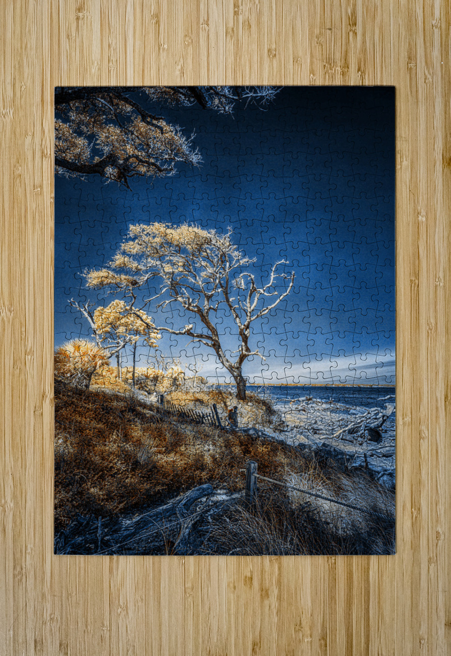 Blue Bonsai: A Botanical Marvel Unveiled on Driftwood Beach Dream World Images Puzzle printing