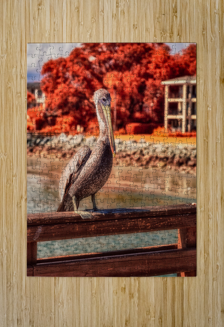 Pier Perch: A Quest for the Majestic Pelican at Saint Simons Island Georgia Dream World Images Puzzle printing